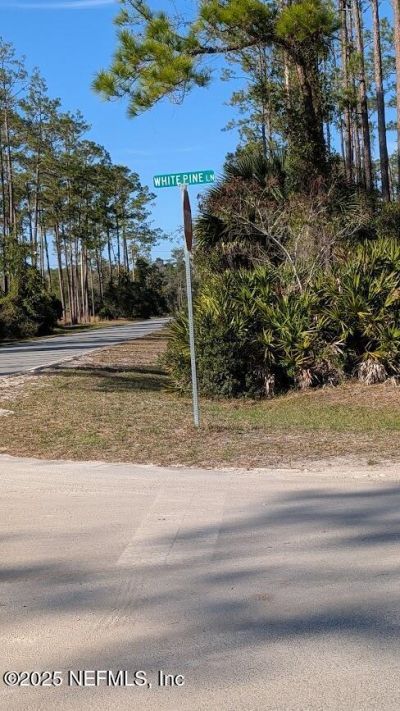 113 White Pine Lane, Georgetown, FL 32139 Photo