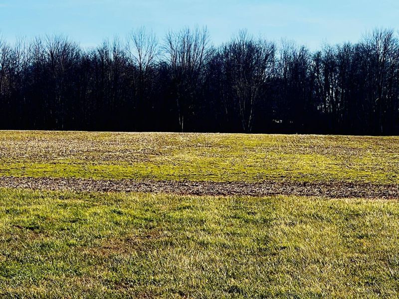 1420 Rose Hill Road, Lewis Twp, OH 45130 Photo 5