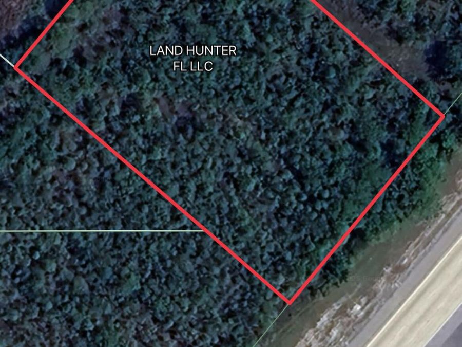 Property Image 5
