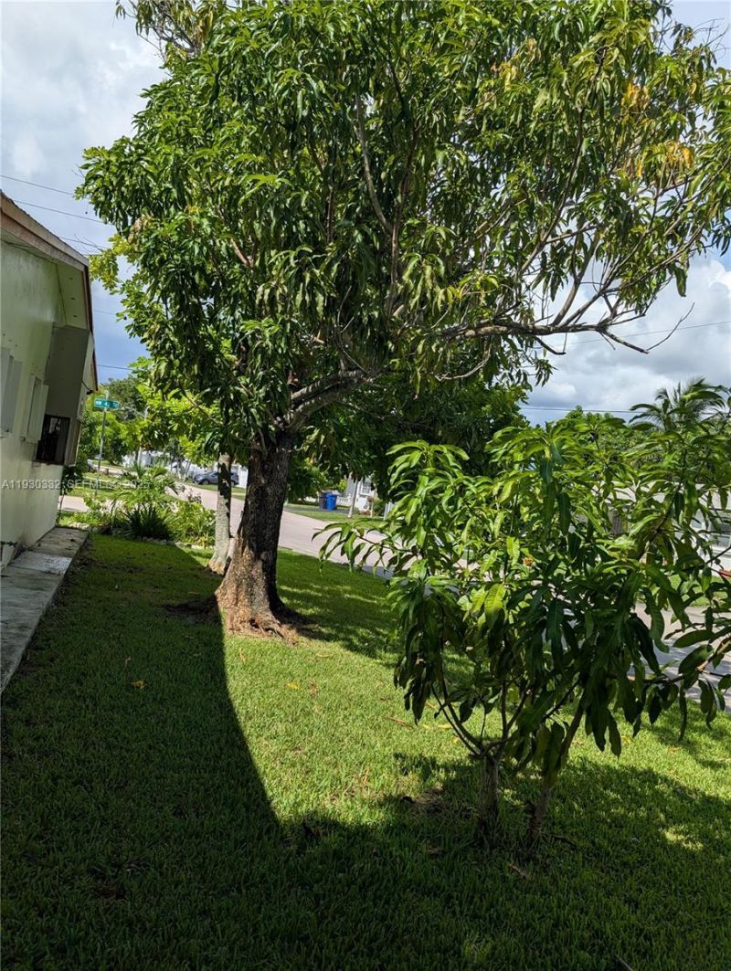 4550 NW 43rd St, Lauderdale Lakes, FL 33319 Photo