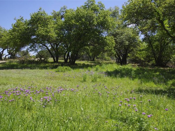 22007 Nameless RD, Leander, TX 78641