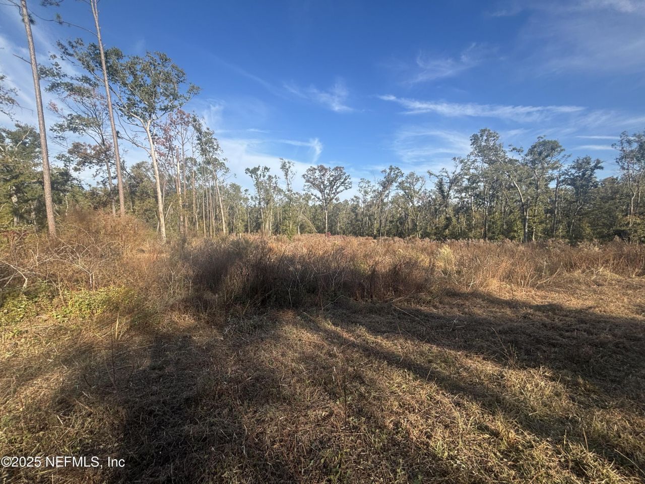 000 NW 28th Avenue, Jennings, FL 32053 Photo