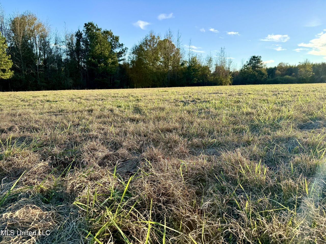 000 Highway 513, Enterprise, MS 39330 Main Photo