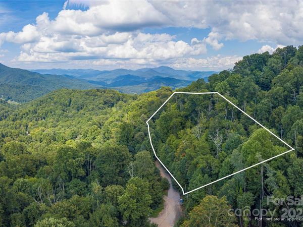 00 Pitch Fork Cove, Waynesville, NC 28785