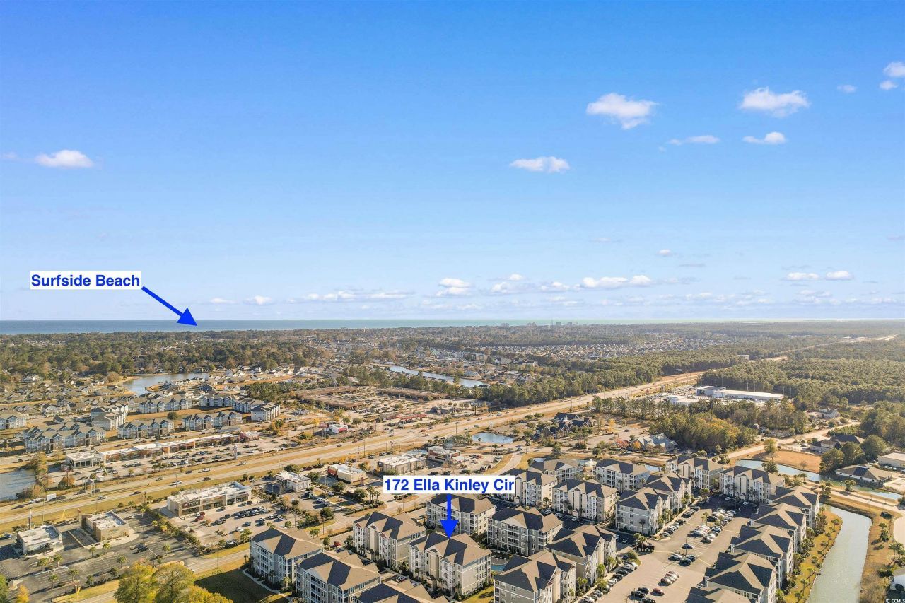 172 Ella Kinley Circle Photo 33