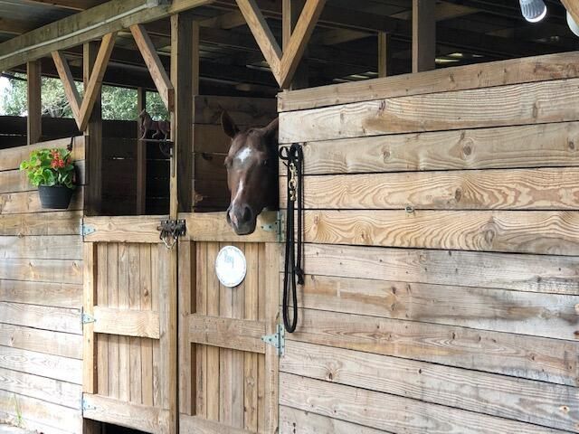 359 W D Road, Loxahatchee Groves, FL 33470 Photo