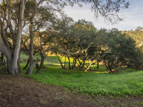 0 Vierra Canyon, Prunedale, CA 93907