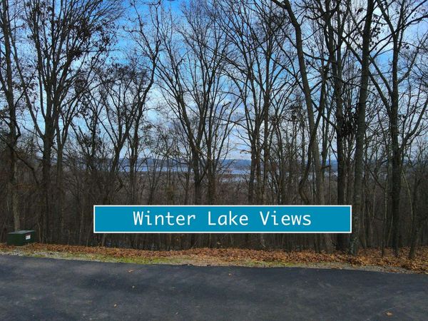Tbd Lovers Lane, Branson West, MO 65737