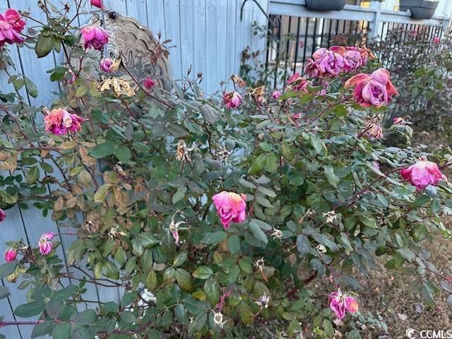 1009 Seaside Dr. Photo 31