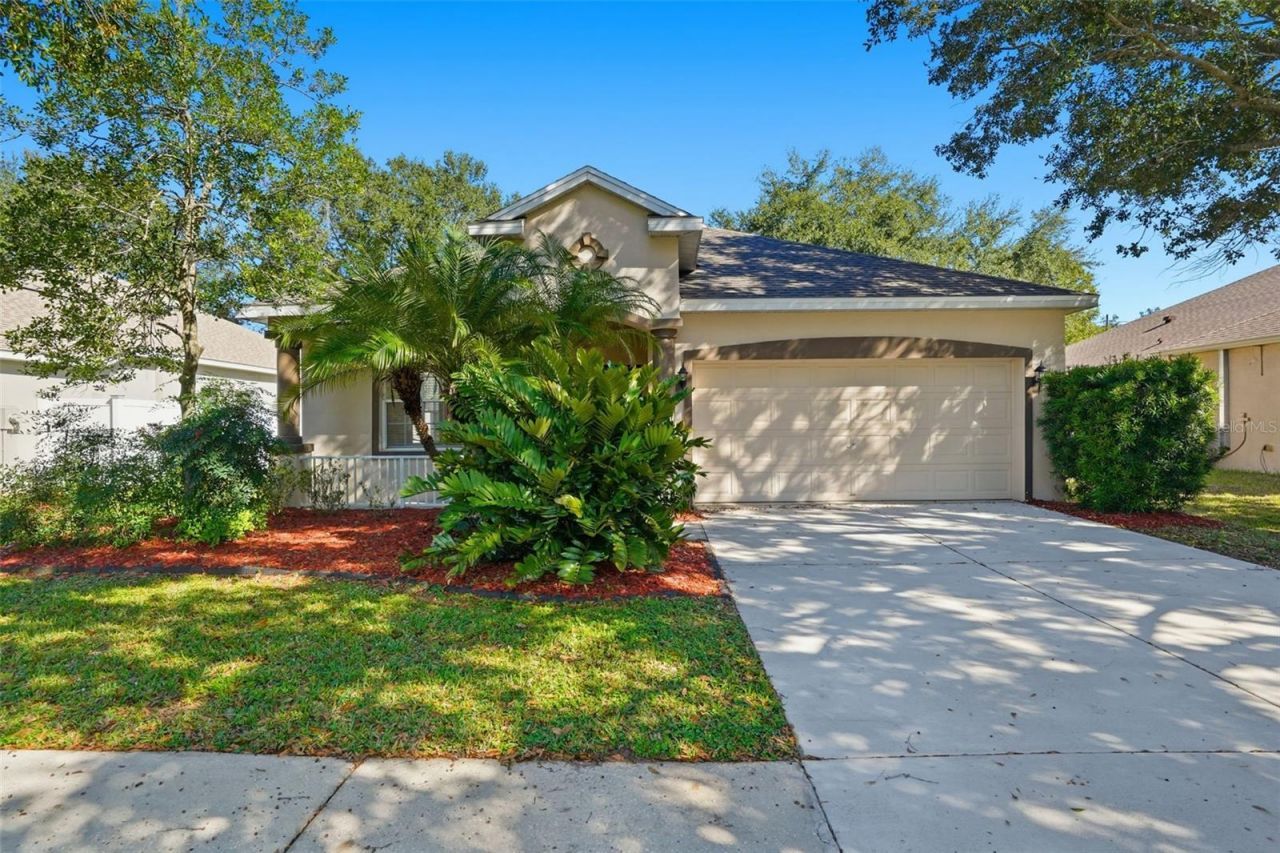 12906 Cattail Shore Lane, Riverview, FL 33579 Main Photo