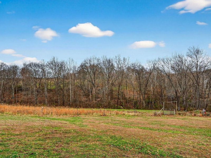 1521 Sam Gilliland Road, Oak Hill, OH 45656 Photo 49