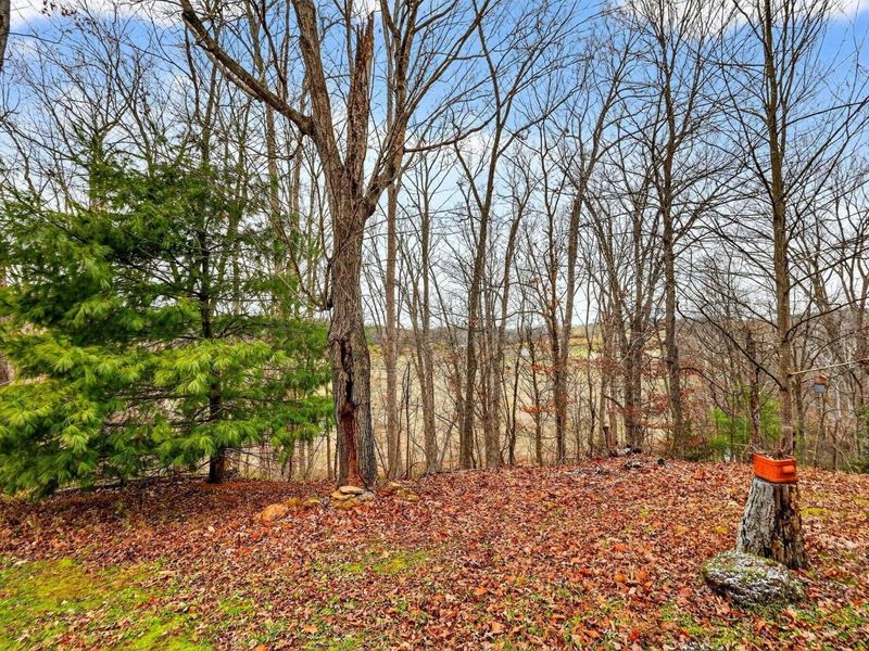 1521 Sam Gilliland Road, Oak Hill, OH 45656 Photo 51