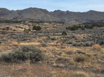 0 Bedell Road, Reno, NV 89508 Photo