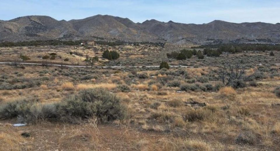 0 Bedell Road, Reno, NV 89508 Photo