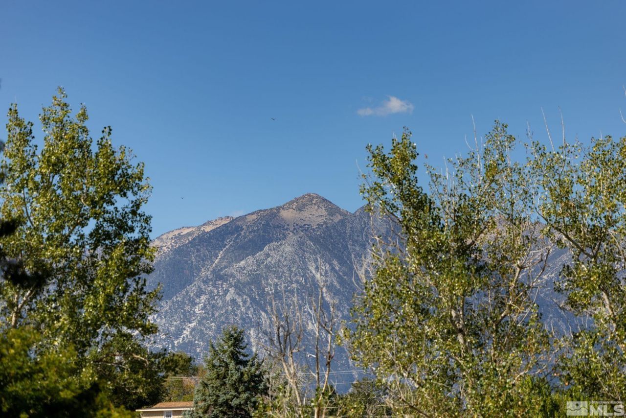 1580 Fifth Green Court, Gardnerville, NV 89460 Photo