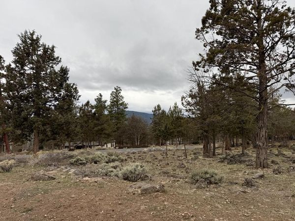 0 Dowitcher Road, Unit Lot 533, Klamath Falls, OR 97601