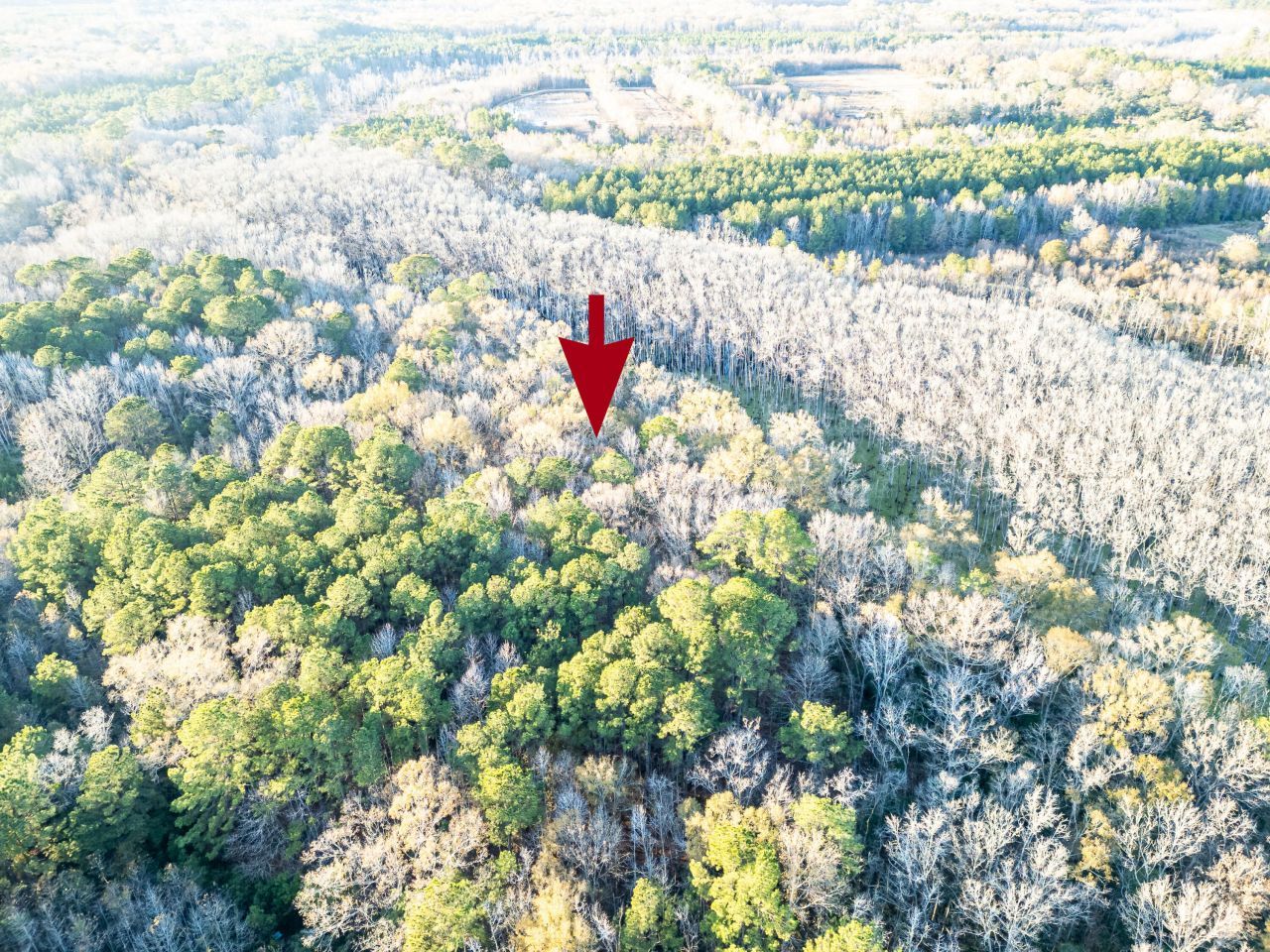 0 Allen Lane Photo 10