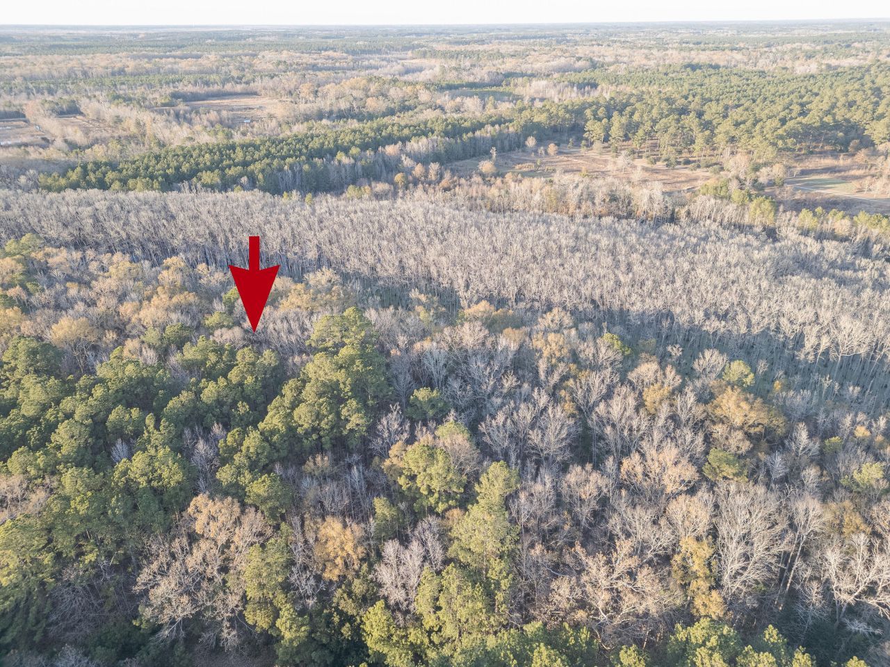 0 Allen Lane Photo 11