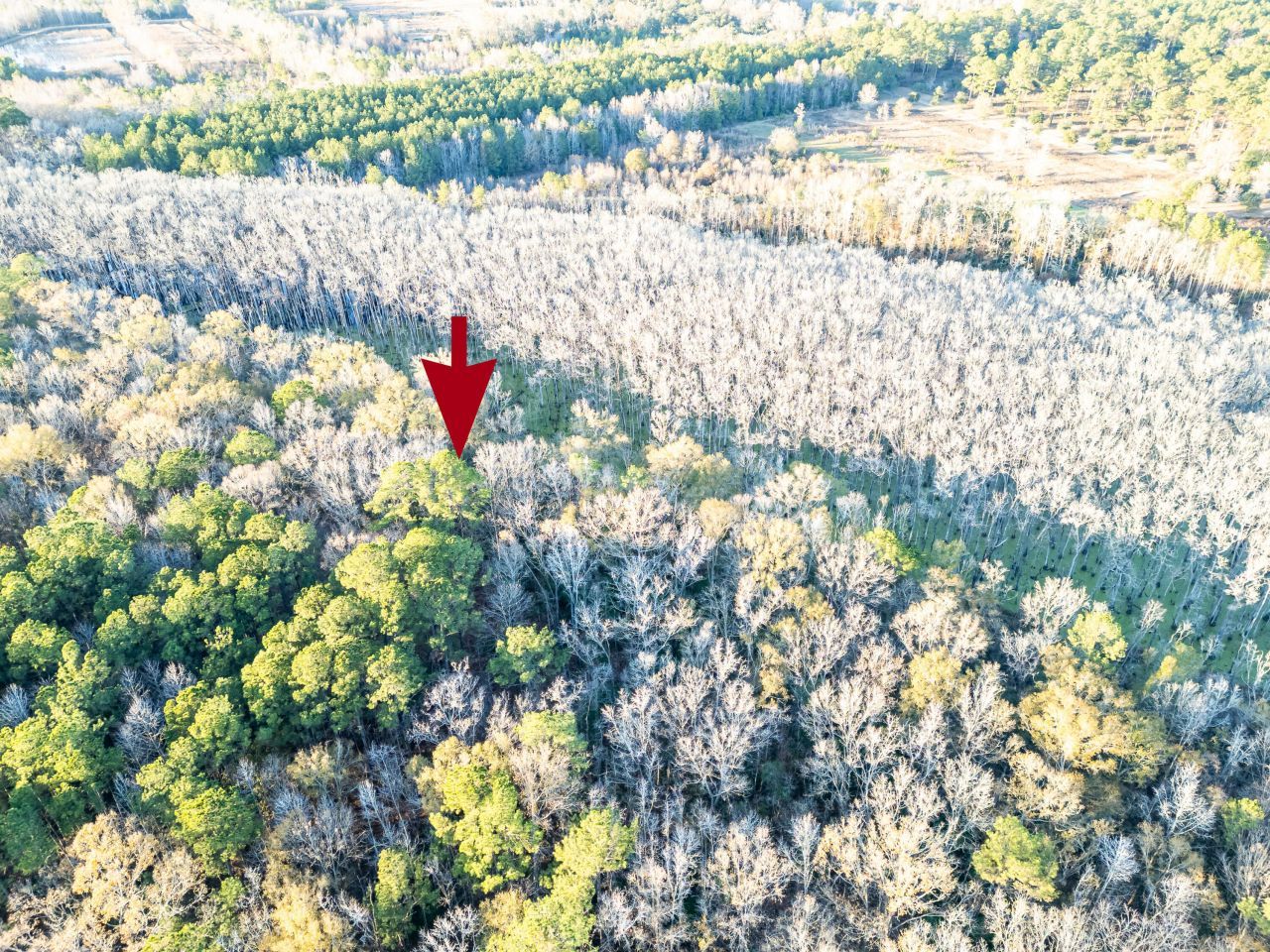 0 Allen Lane Photo 12