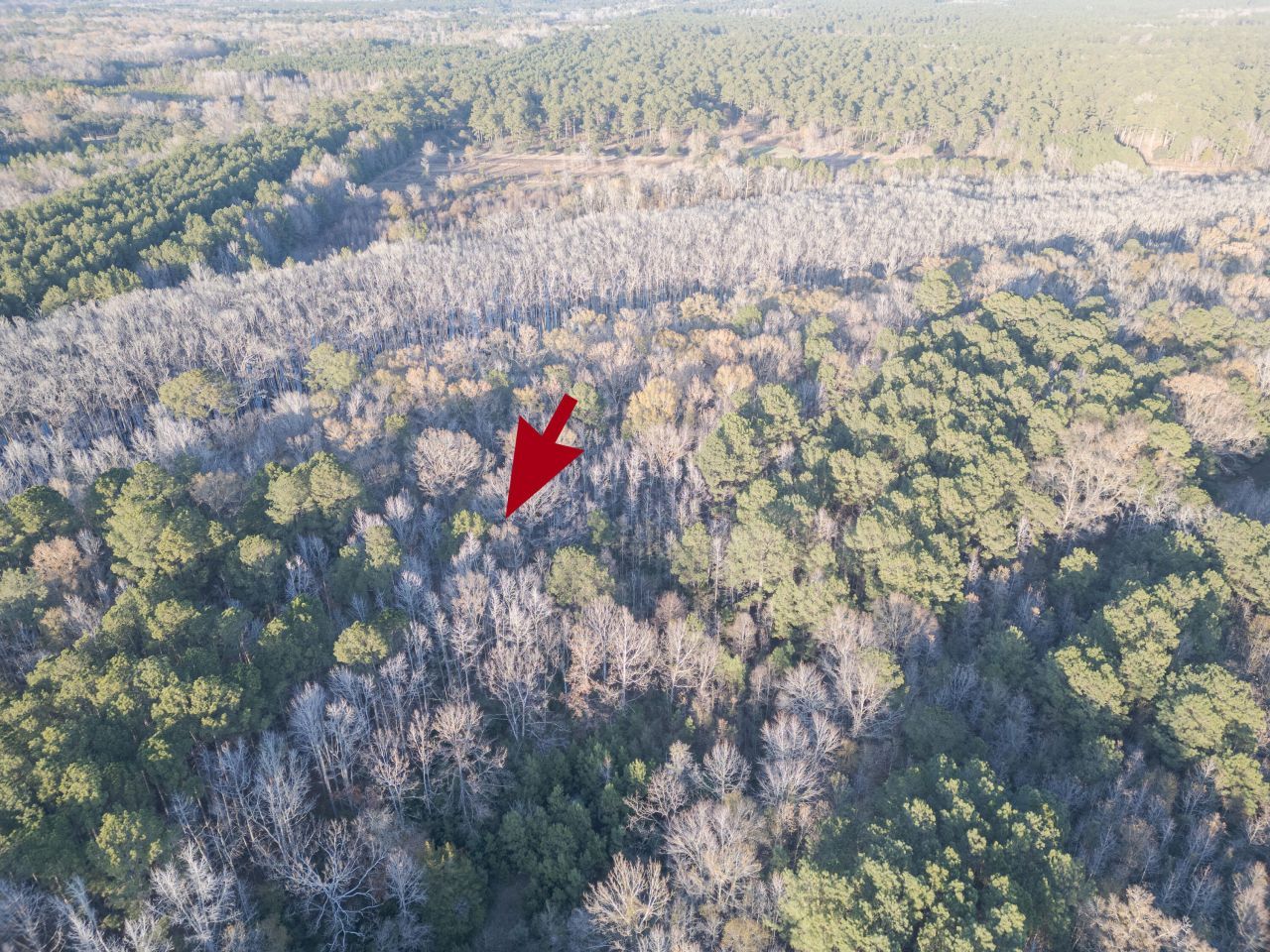 0 Allen Lane Photo 13