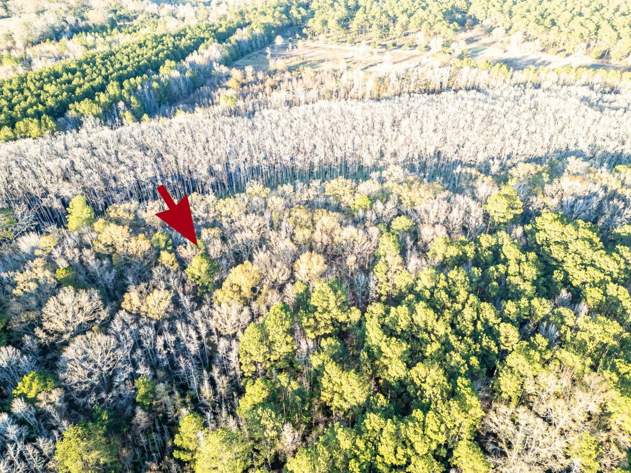 0 Allen Lane Photo 14