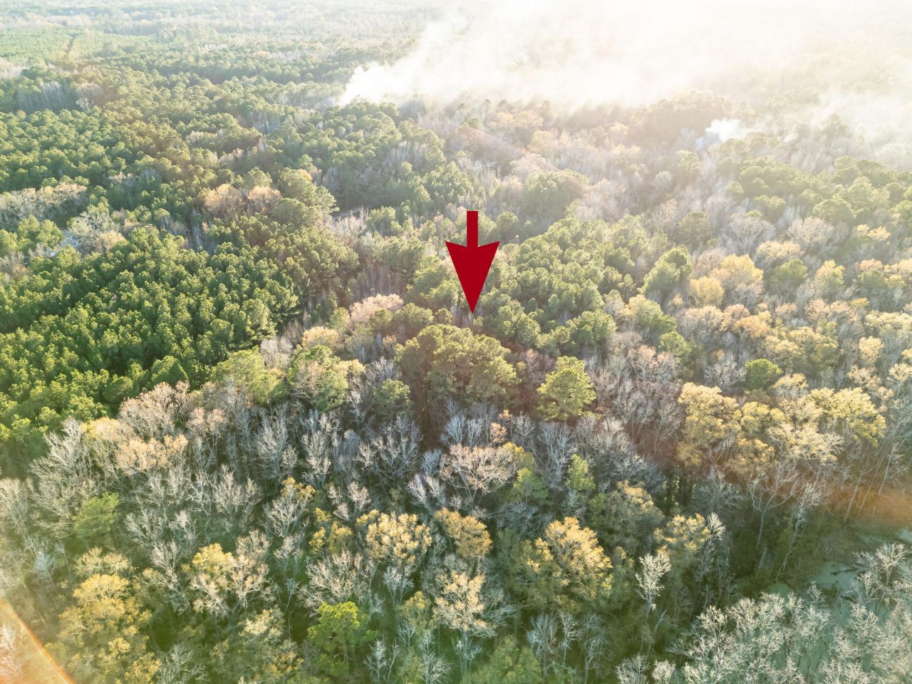 0 Allen Lane Photo 17