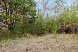 0 Allen Lane photo 4