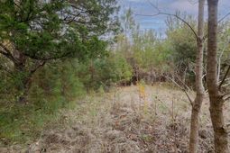 0 Allen Lane photo 4