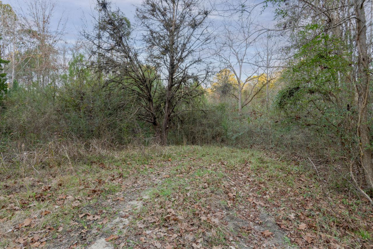 0 Allen Lane Photo 4