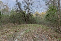 0 Allen Lane photo 4