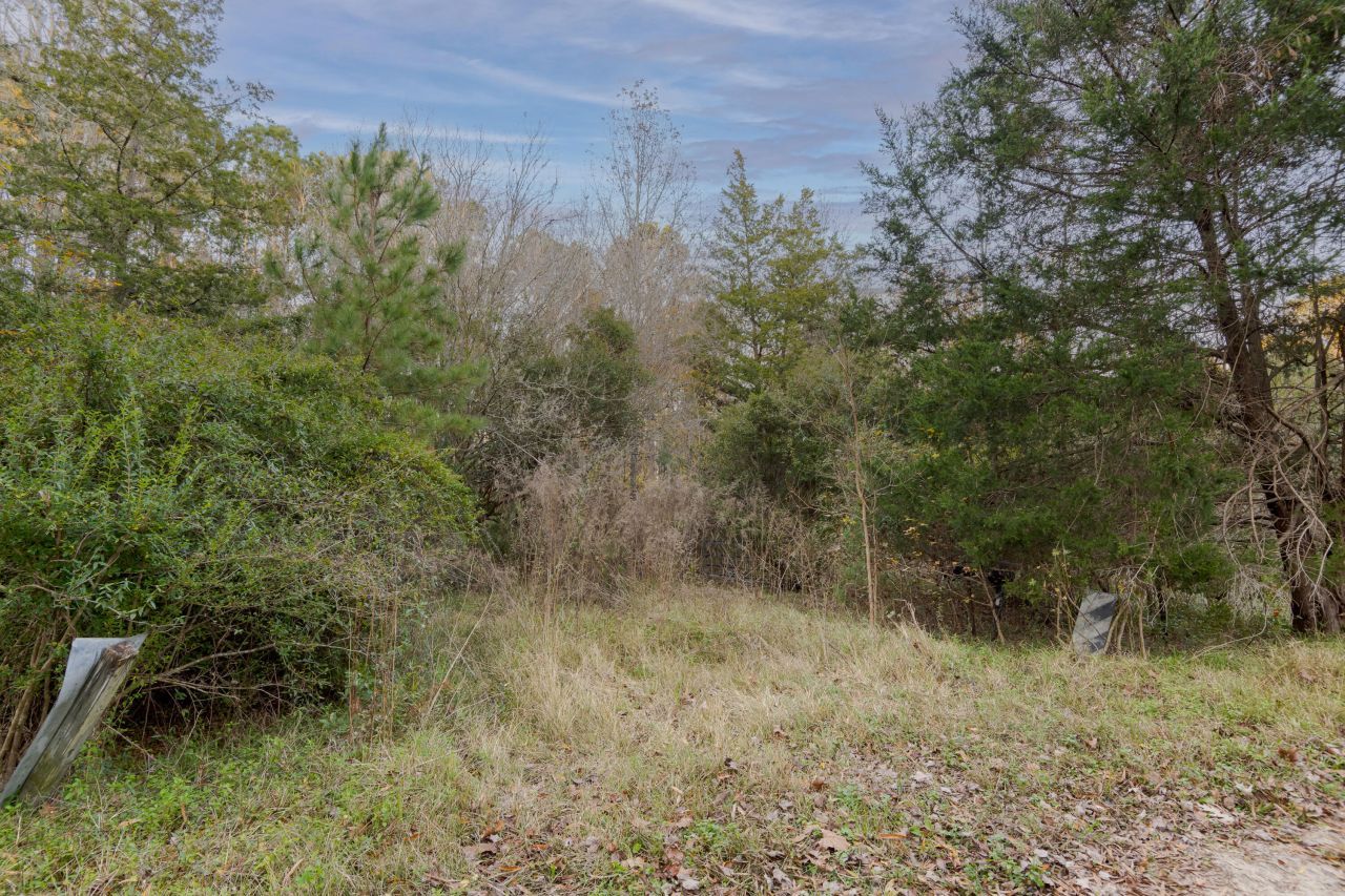 0 Allen Lane Photo 5