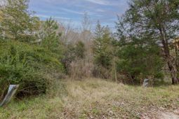 0 Allen Lane photo 4