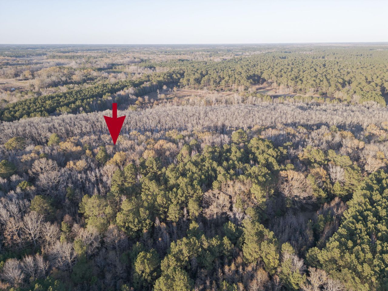 0 Allen Lane Photo 6