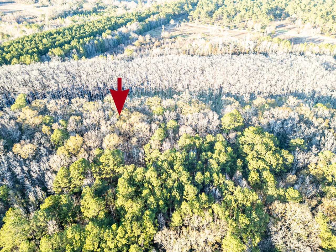 0 Allen Lane Photo 7