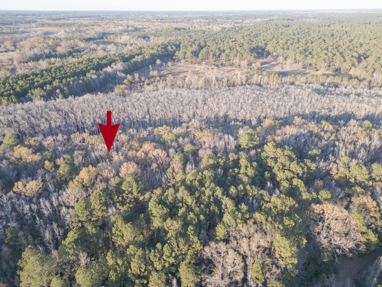 0 Allen Lane Photo 8