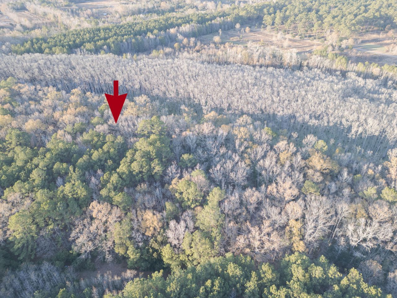 0 Allen Lane Photo 9