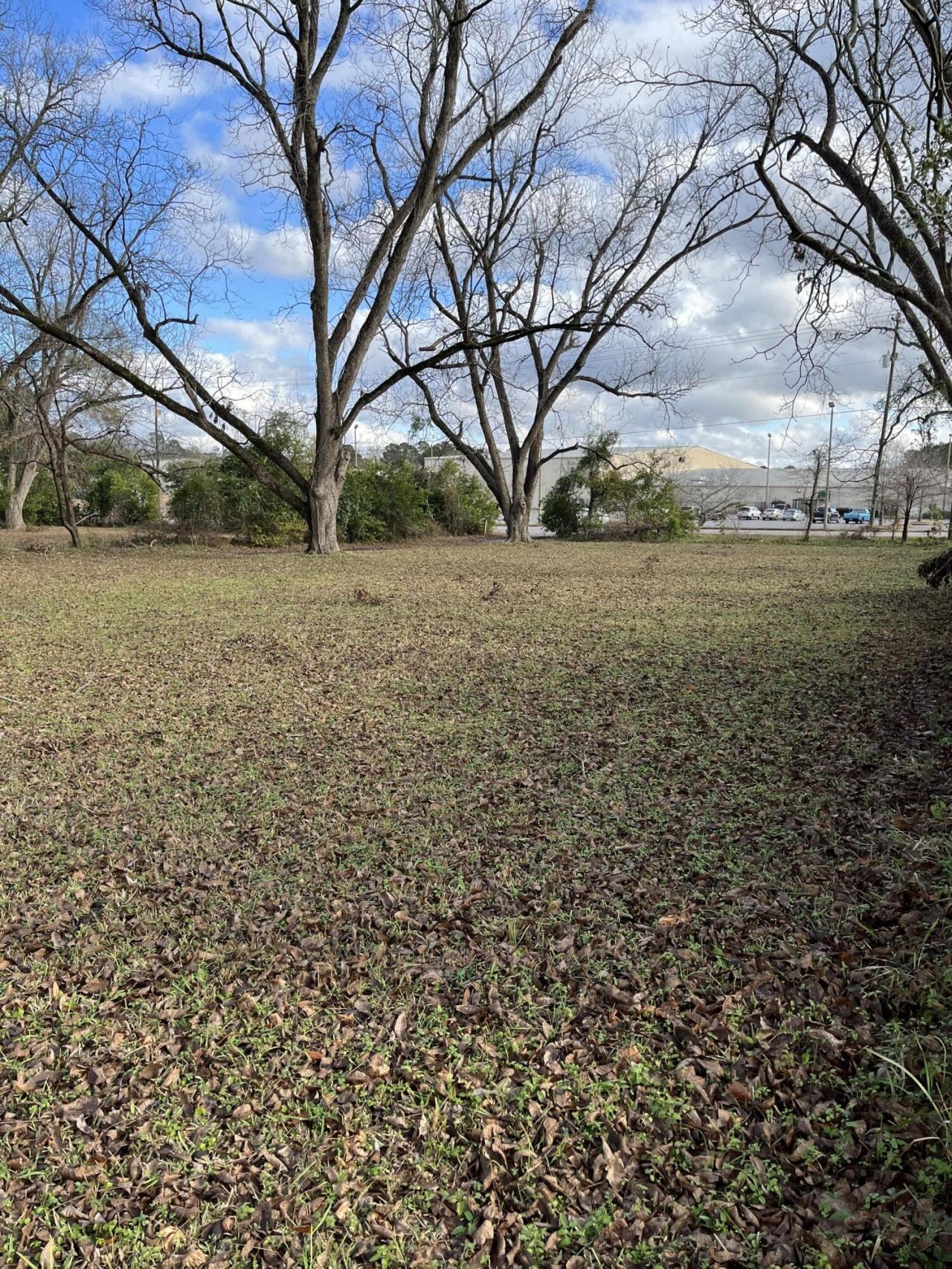 2565 Saint Matthews Road Photo 33