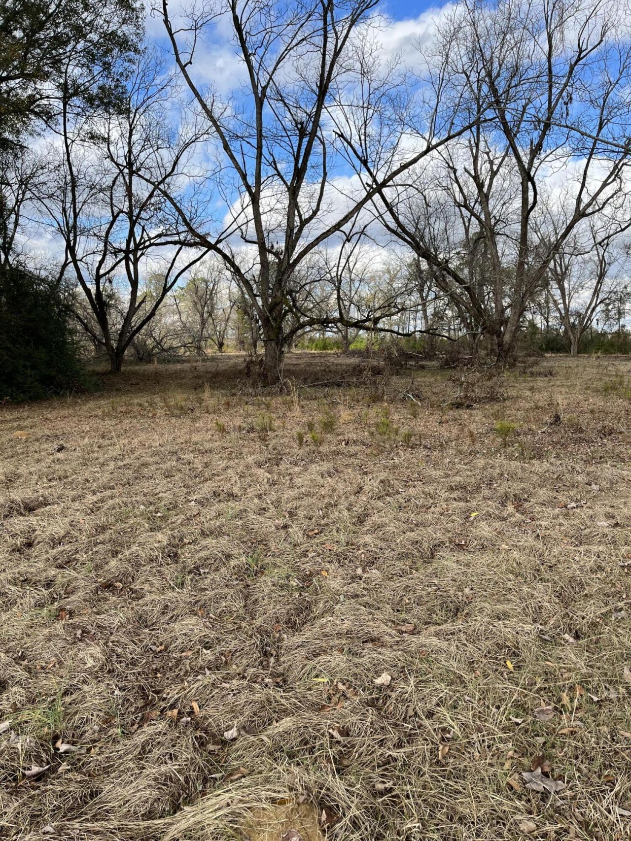 2565 Saint Matthews Road Photo 38