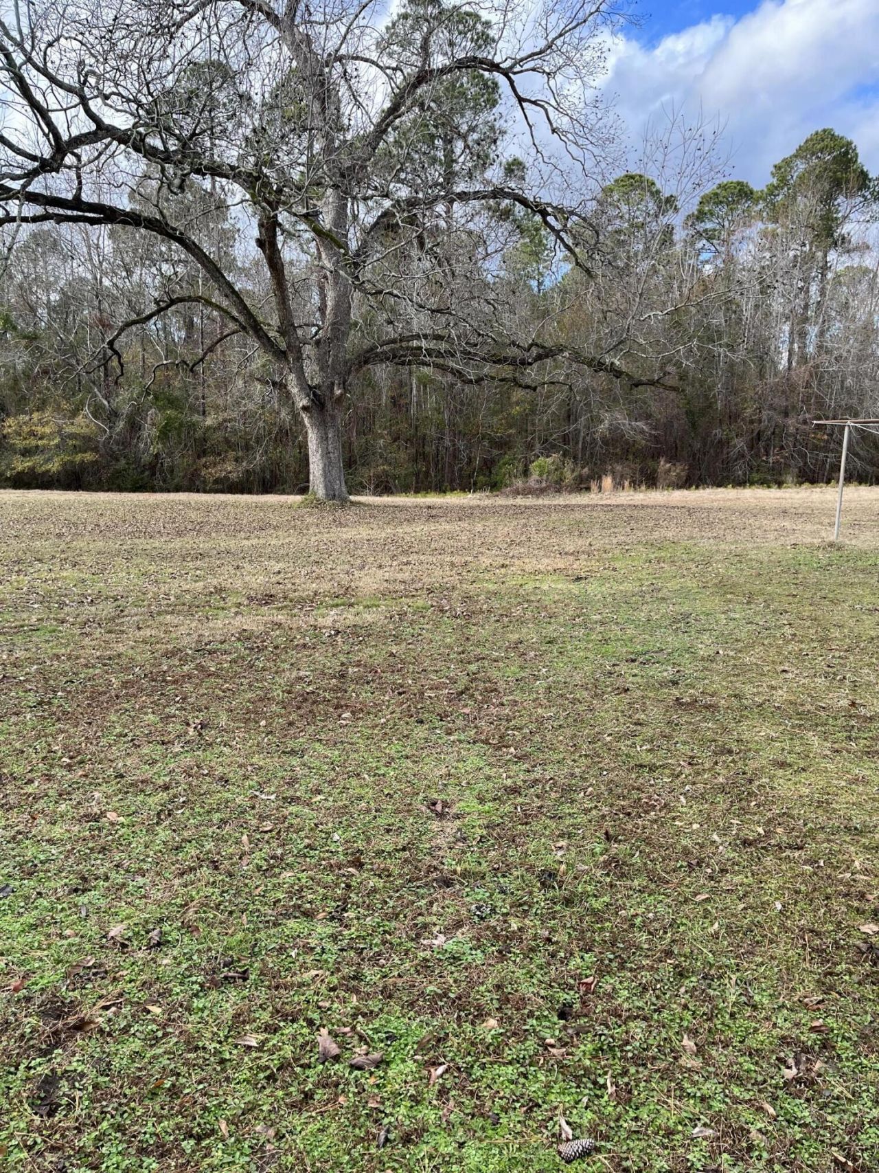 2565 Saint Matthews Road Photo 52