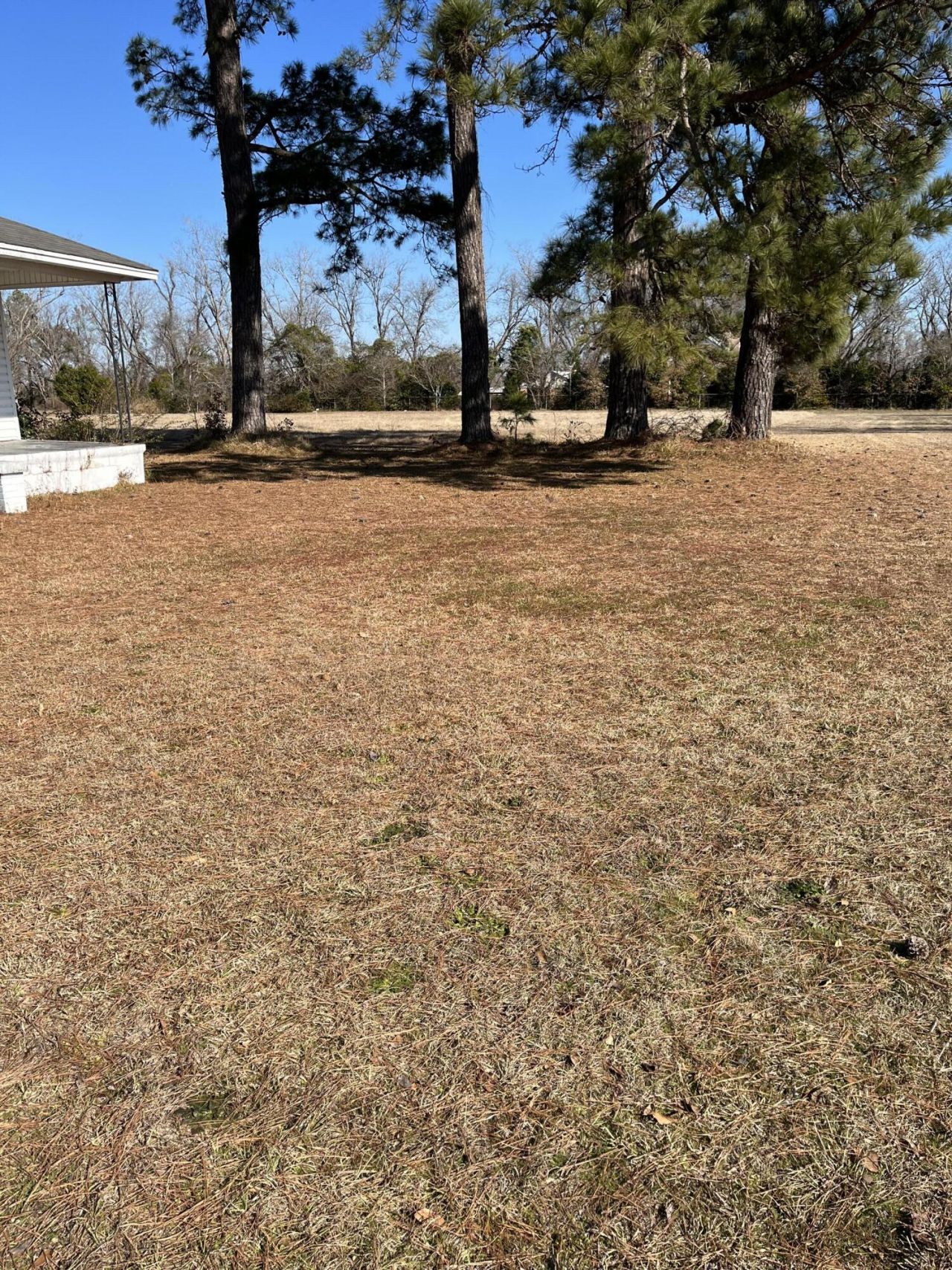 2565 Saint Matthews Road Photo 56