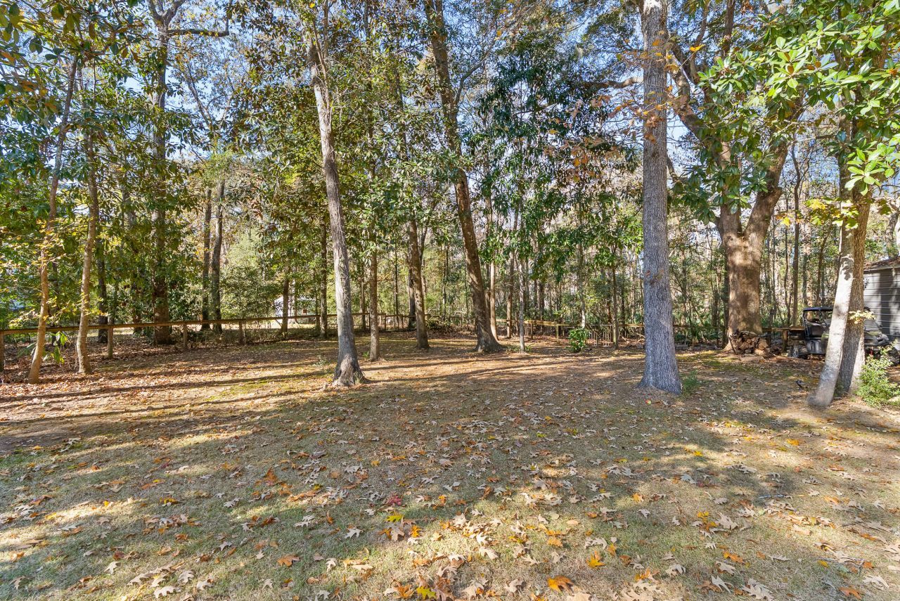 3026 Olivia Marie Lane Photo 43