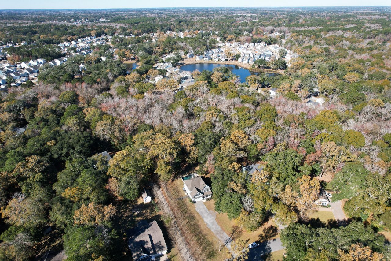 3026 Olivia Marie Lane Photo 46