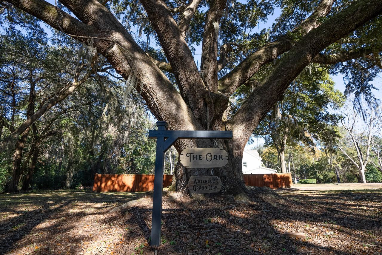 3026 Olivia Marie Lane Photo 60