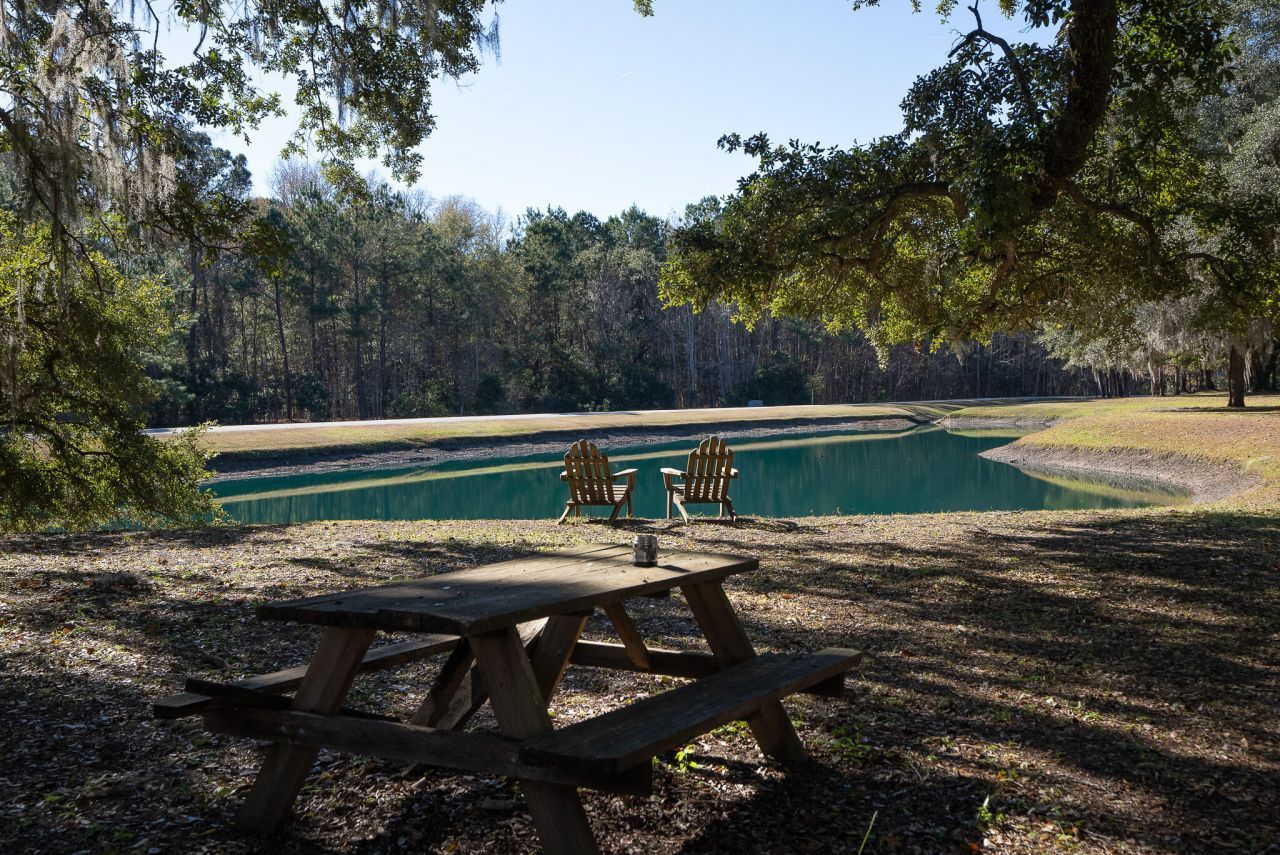 3026 Olivia Marie Lane Photo 62