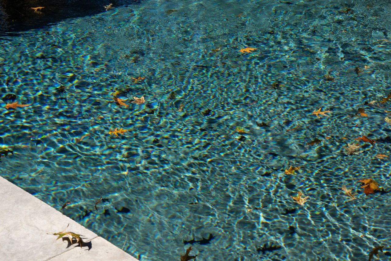 3026 Olivia Marie Lane Photo 9