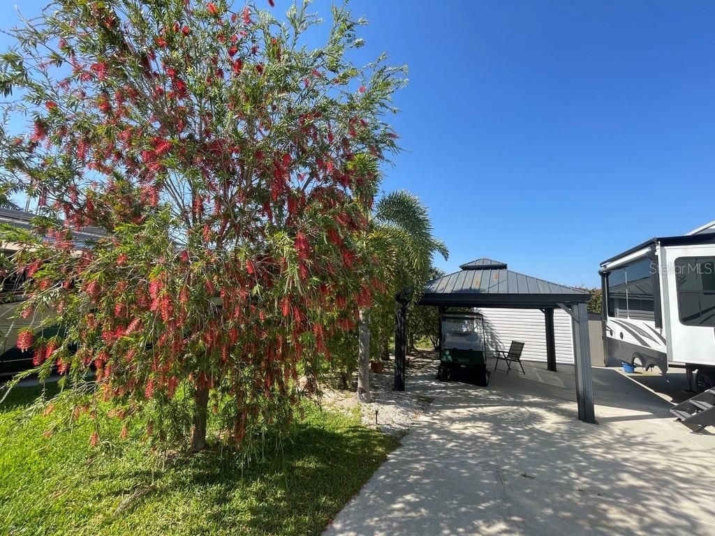10313 Nightwood Drive, Fort Myers, FL 33905 Photo
