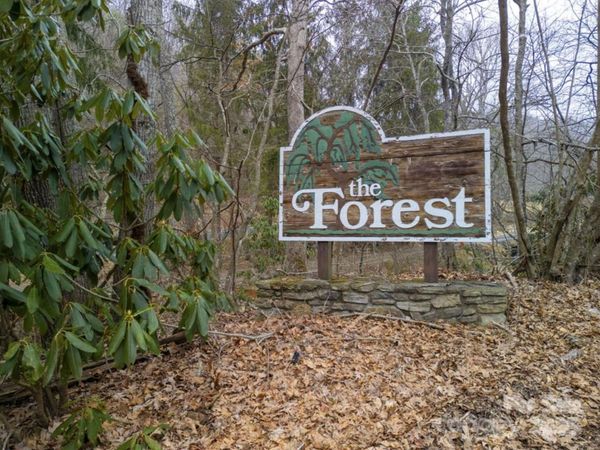 00 Seasons Drive, Clyde, NC 28721