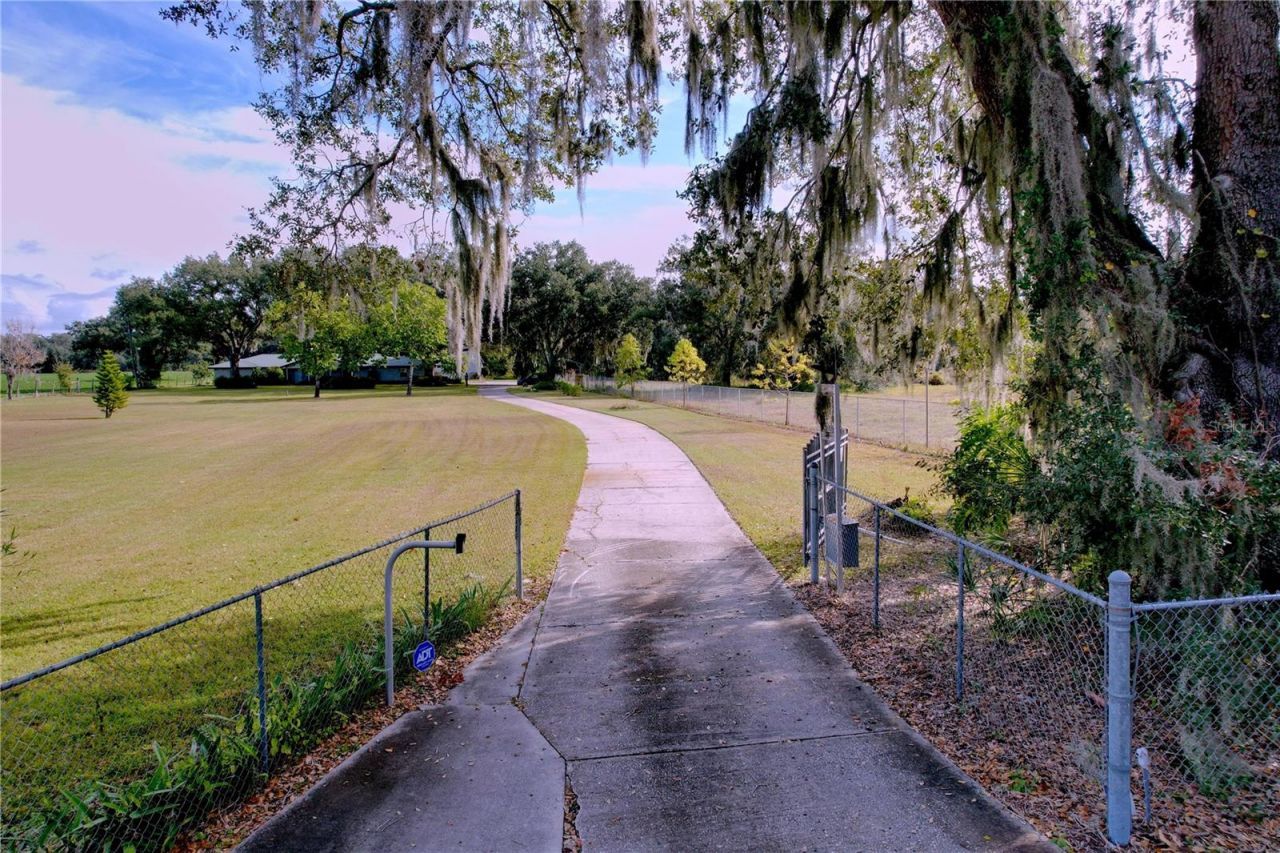 9471 Mcintosh Road, Dover, FL 33527 Photo