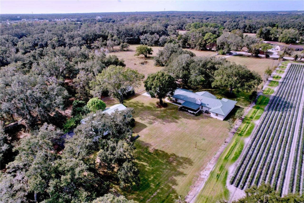 9471 Mcintosh Road, Dover, FL 33527 Photo