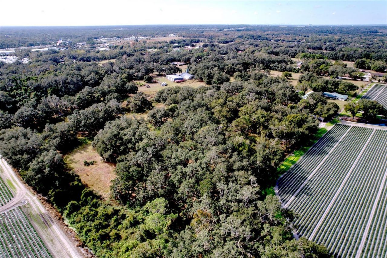 9471 Mcintosh Road, Dover, FL 33527 Photo